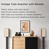 Juson Audio JTA50 Vacuum Tube Amplifier with BT Remote USB Subwoofer and Channel Amplifier Entry-level High-fidelity 5.0, Control, AUX, COAX,