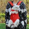 Waterproof Pet Front Dog Bag Creative Cat Carrying Bag Pet Backpack Carrier  Outdoor