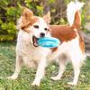 Jouet à Mordre - InnovaGoods - 2 en 1 - Congelable - TPR - Pour Chien Moyen