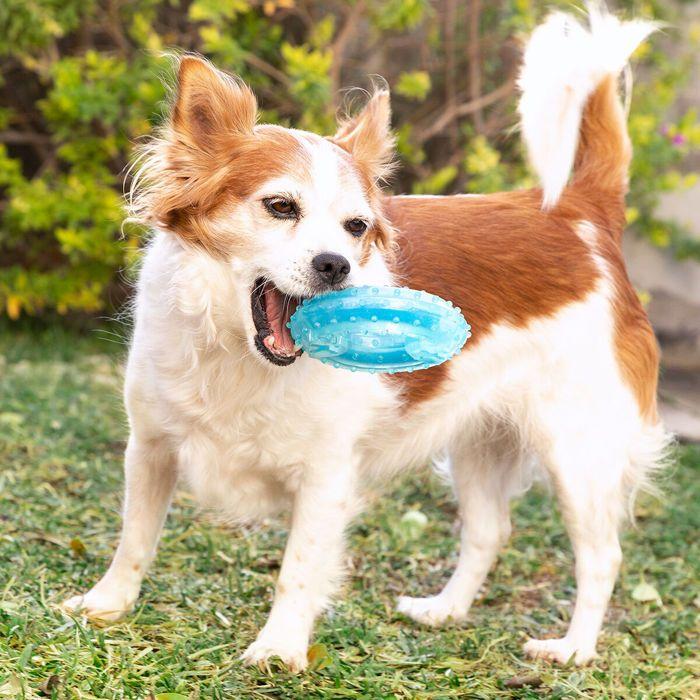 Jouet à Mordre - InnovaGoods - 2 en 1 - Congelable - TPR - Pour Chien Moyen