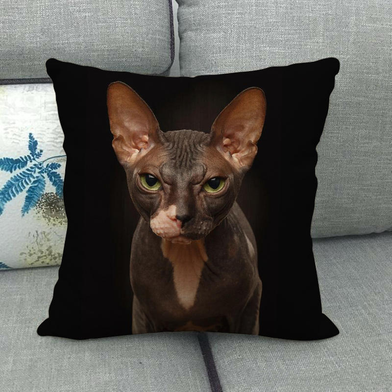 Uroczy zwierzęcy nadruk z kotem seria Sofa kreatywna poduszka prosta poduszka domowa impreza samochód