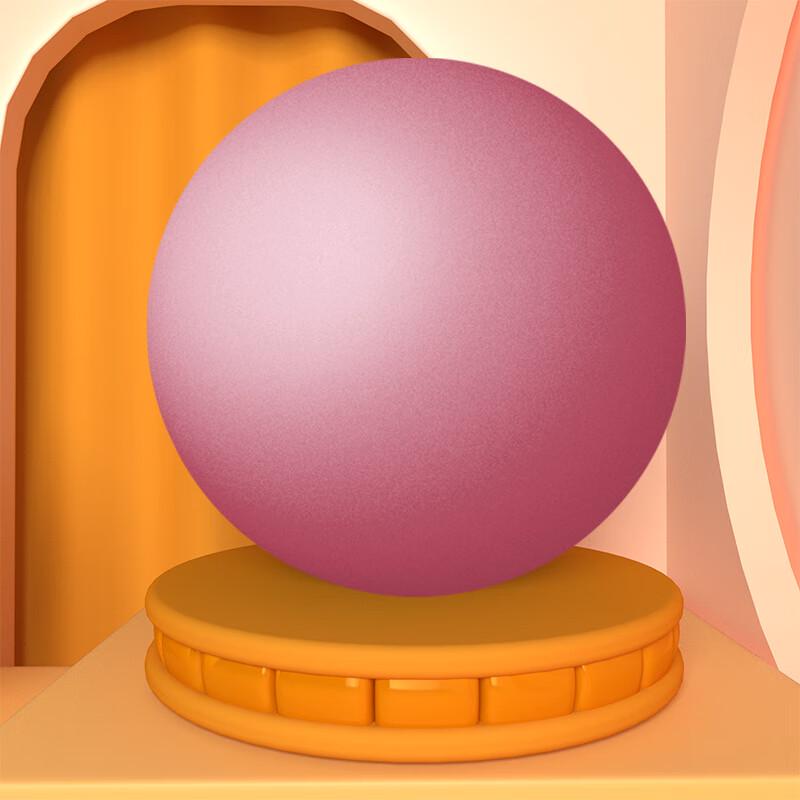 WEZHO Mini Pilates Yoga Fitness Ball Set for Beginners