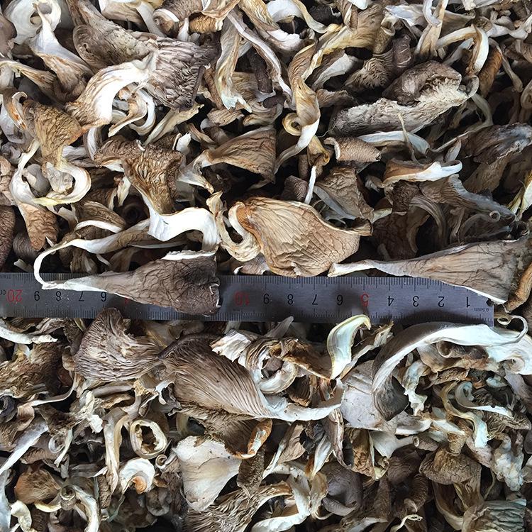 Yunnan Plateau Specialty Dried Oyster Mushroom Strips