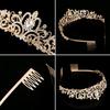 Bridal Rhinestone Crown Exotic Style Headdress Forest Temperament Hair Accessories Female European and American New Stage Party Crown