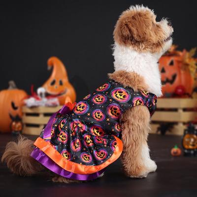 Bekleidung & Schuhe – Hundekleider