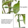 Plant Support Stand with Adjustable Rings Stable Construction Non-Fading Simple Installation Climbing Plants Stake Cage Frame