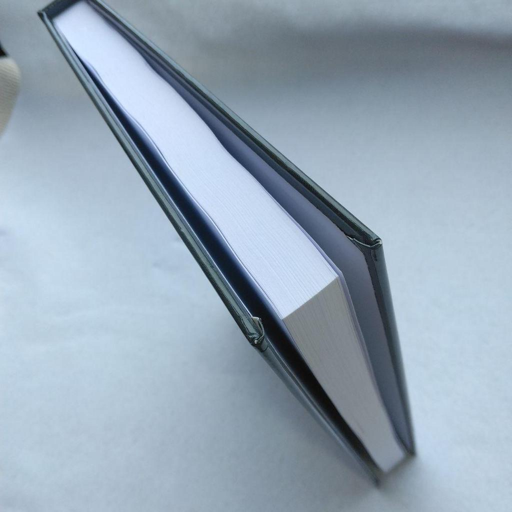 [USED] Toni Morrison & The Classical Tradition