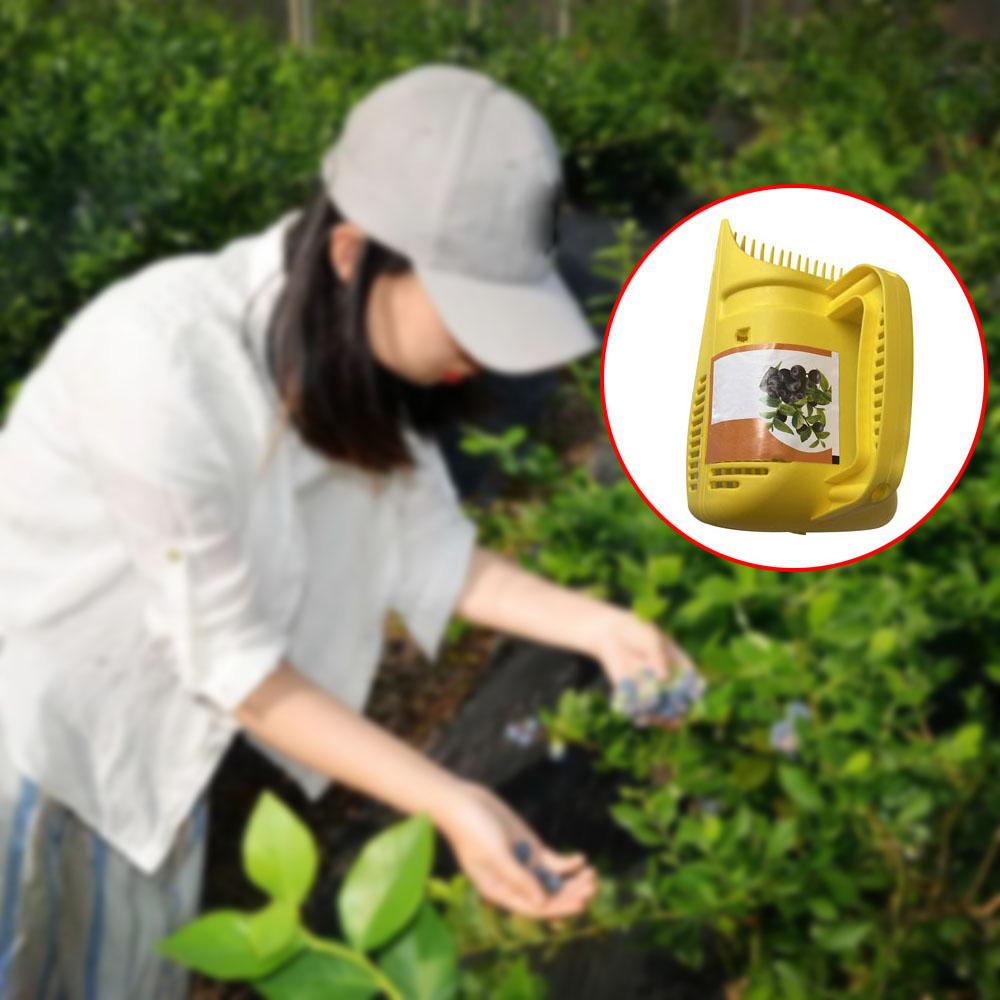 Kunststoff Beere Kirsche Obstpflücker Rechen Ernte Gartenkamm Gartenwerkzeug Blaubeerpflückwerkzeug Obstkorb