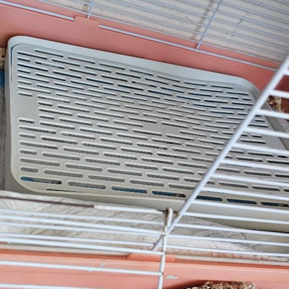1 peça Caixa de Areia para Coelho Bandeja Sanitária para Pequenos Animais Caixa Sanitária de Canto para Coelhinho Furão Hamster Dragão Gato Porquinho da Índia Suprimentos para Porquinho da Índia