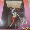 [USED] Samurai Spirits Tenkaichi Kenkakuden Iroha Kurenai Version Complete Figure