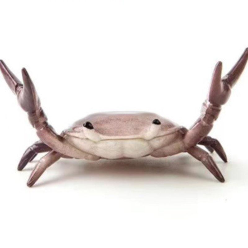 Funny Crab Pen Holder Desktop Creative Lift Weight Stationery Organizer Cute Decor For Desk Work Office Study Ins Aesthetic 2026