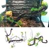 Simulation Reptile Corner Branch Flexible Jungle Climbing Branches  Snake Tank Habitat Decor