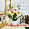 Artificial Phalaenopsis Flowers Decorative Plant For Home And Decoration Event