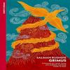 Grimus by Salman Rushdie Paperback Book 9781784878924