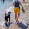Carrying Storage Box Case Pouch Shockproof Waterproof for Anker  2 Wireless Bluetooth-compatible Speaker