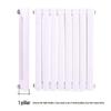 Shuogaomei 5025 Steel Two-Column Wall-Mounted Radiator