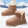 Snow Boots Women's Cotton Shoes High-top Cold-proof Women's Boots Warm and Comfortable Shoes Women's Fashion Versatile Boots