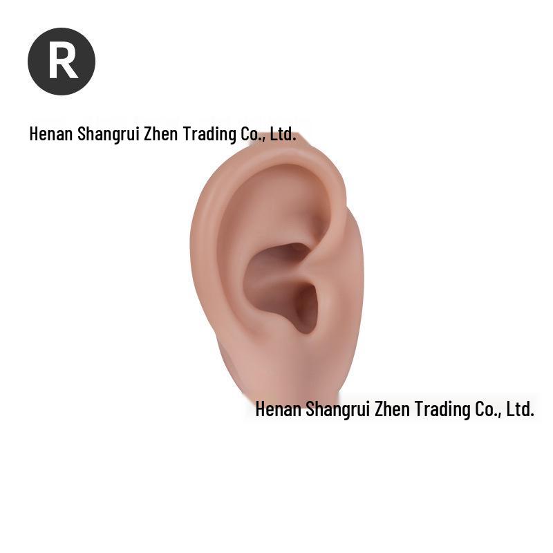 5D Ear Picking Silicone Model: Earphone Display, Acupoint, Jewelry & Hearing Aid Prop