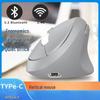OLOEY Ergonomic Wireless Vertical Mouse