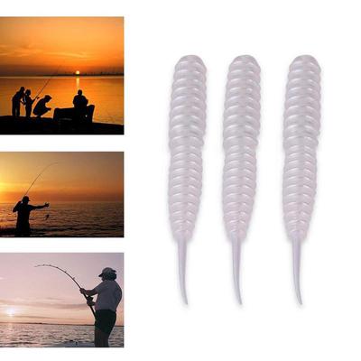 fishing maggots for sale near me