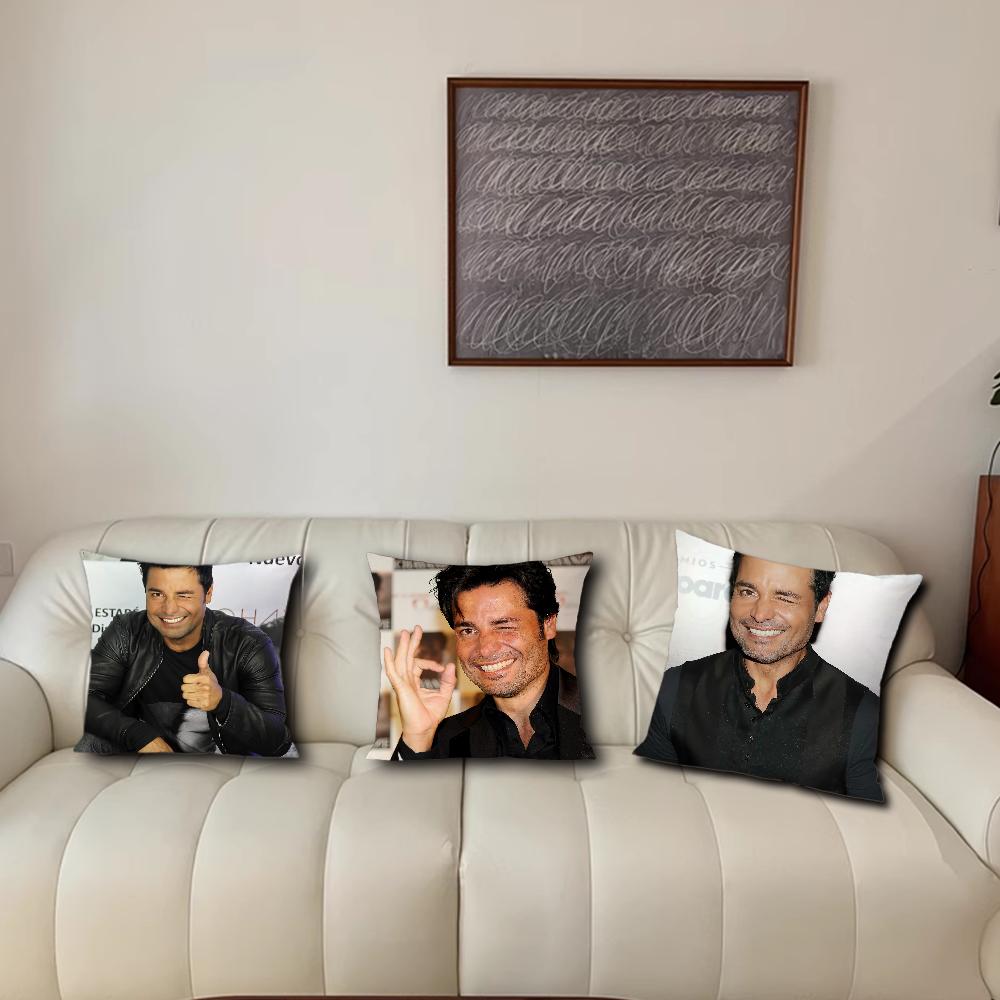 Singer C-Chayanne P-Puerto cushion cover Living Room Accent Couch Back Support Square Lounge Restful Nap Companion Pillow Case