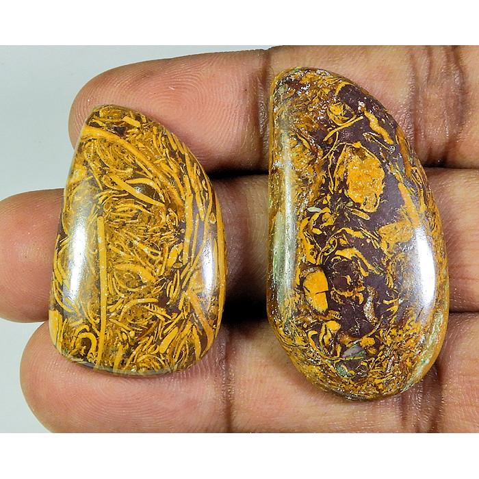 

96Cts. Natural Marium Fossil Fancy Cabochon Loose Gemstone 2 Pcs Lot PP-254