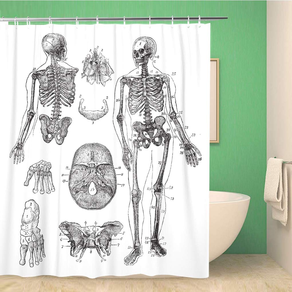 Science Shower Curtain, Black Chalkboard Biology Hand Written, Cloth Fabric Washable Bathroom Decor Set With Hooks, Black Brown