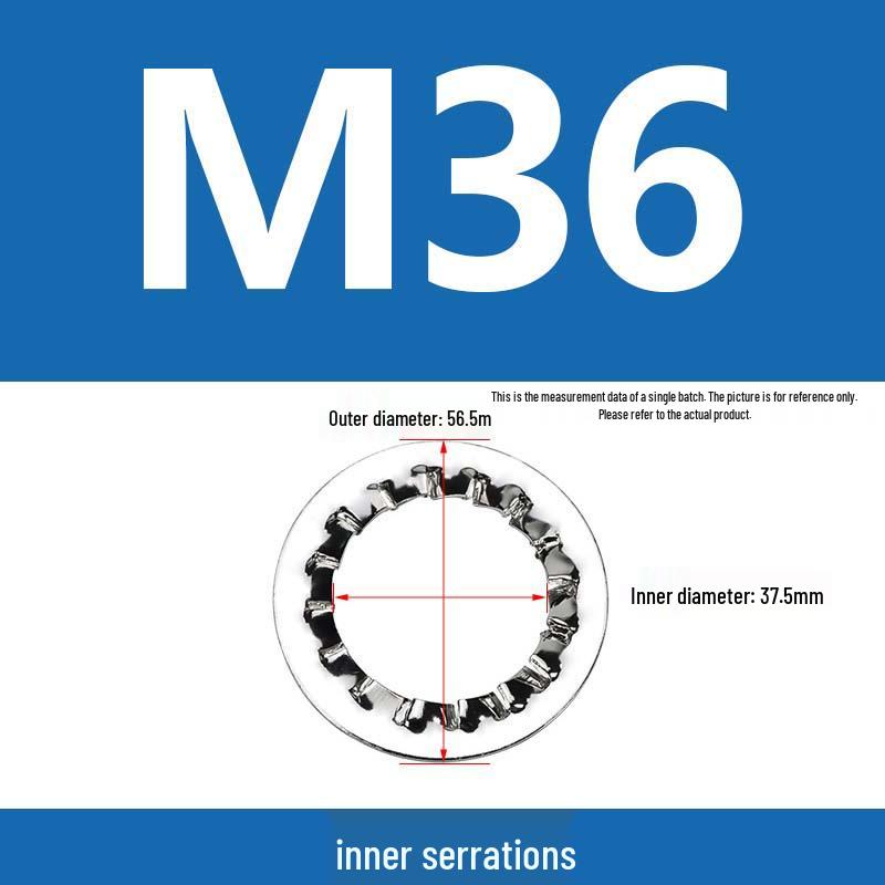 304 Stainless Steel Serrated Lock Washer with Anti-slip Teeth.