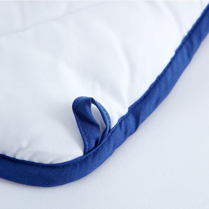 Mengjie Warm Down Alternative Winter Quilt