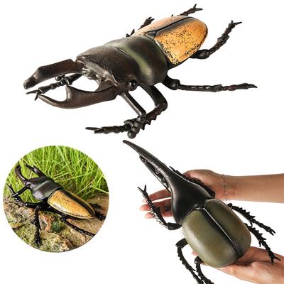 Oenux Big Size Insect Model Coleoptera Lucanidae Beetle Dynastes Hercules Action Figures Figurine Educational Kids Safe Toy