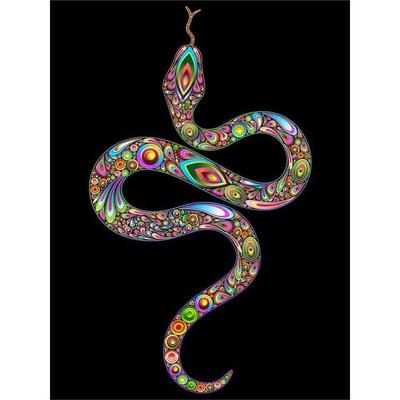 5D Diamond Painting Snake Pictures Of Rhinestones Diamond Embroidery Animals Painting Home Decor
