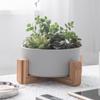 Flower Pot with Wooden Stand Indoor Display Rack Rustic Decor