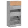 Vidaxl Szafka Na Buty, Szarość Betonu, 60X34X116 Cm