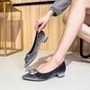 Pointed thick heel shallow mouth single shoes women's 2025 new spring and autumn suede temperament versatile commuting not tired feet low heel women