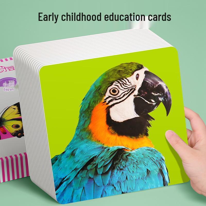 Black & White Visual Training Cards for Babies, Ages 0-3 Months