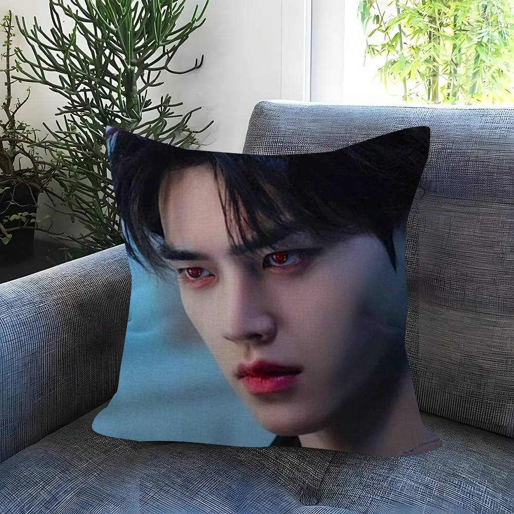 Kpop Actor Hot SSong Kang Pillow Gift Home Office Decoration Bedroom Sofa Car Cushion Cover case 45x45