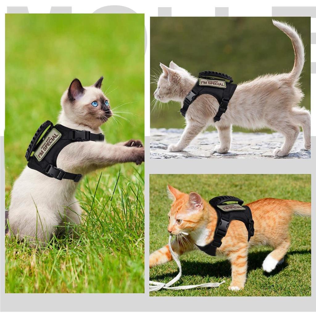 Adjustable Tactical Cat Harness with Anti-Breakaway Leash for Outdoor Use