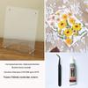 Nordic Simple Acrylic Photo Frame - 6-7 Inch DIY Dried Flower Pressed Specimen