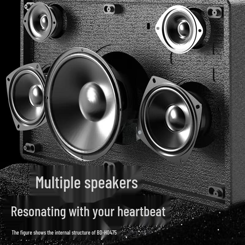 BD-H0570 Retro Portable KTV Karaoke Speaker with Bluetooth