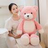 Cute cute bear hug bear doll plush toy teddy bear doll girl rag doll birthday gift
