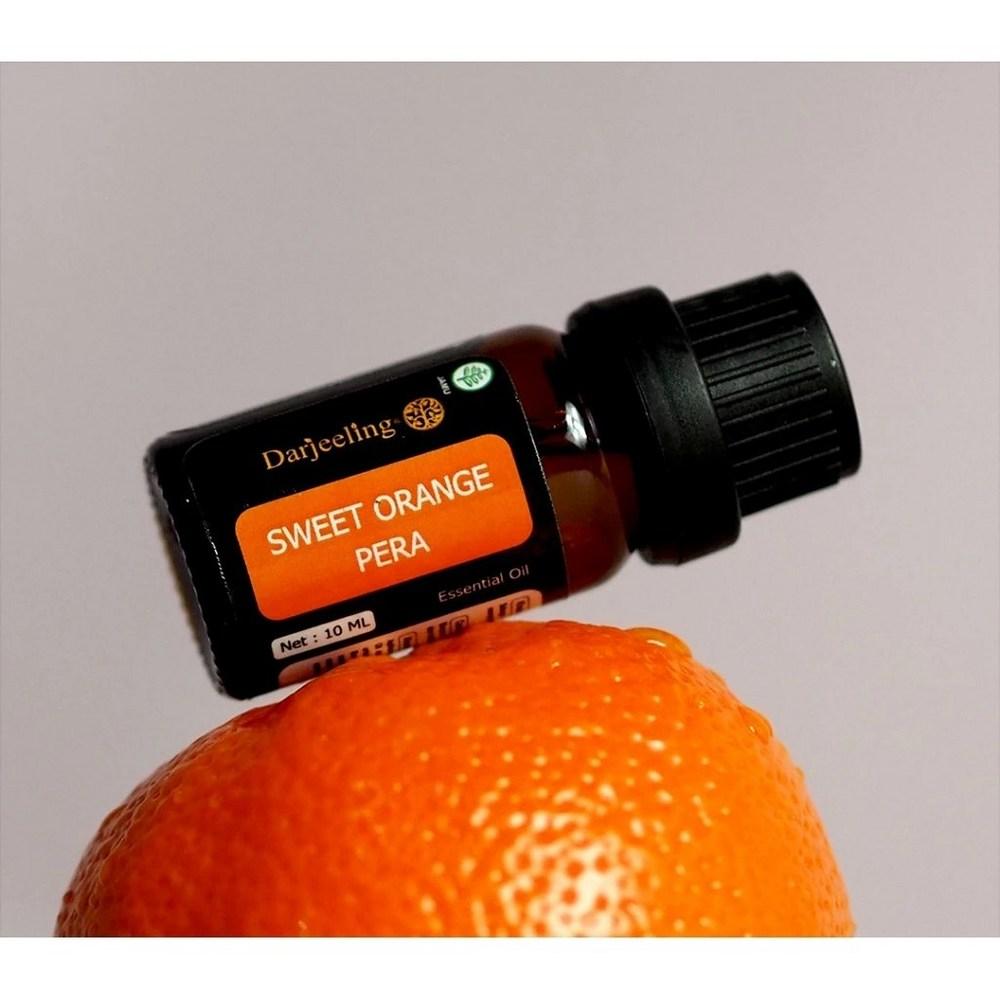 DARJEELING Essential Oil Sweet Orange Pera 10 ml