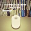 Dimmable Table Touch Night Light LED Home Study Sleep Lamp Rechargeable Bedside Lamp  Bathroom