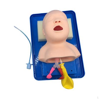 Infant Tracheal Intubation Model,Pediatric Manikin,Tracheal Child Airway Management Train