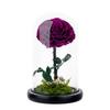 Unsterbliche Blume, die Rose des kleinen Prinzen, echte Blume getrocknete Blume, hochwertiges Fertigprodukt, Geschenk zum Geburtstag und Valentinstag für den Freund.