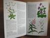 [USED] Defective Plant Encyclopedia Herbs Foreign Books HERBS Botanical Art