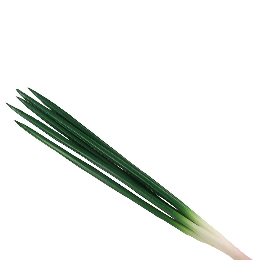 Realistic Artificial Green Onion PU Imitation Scallions Model Simulation Vegetable  Sketch