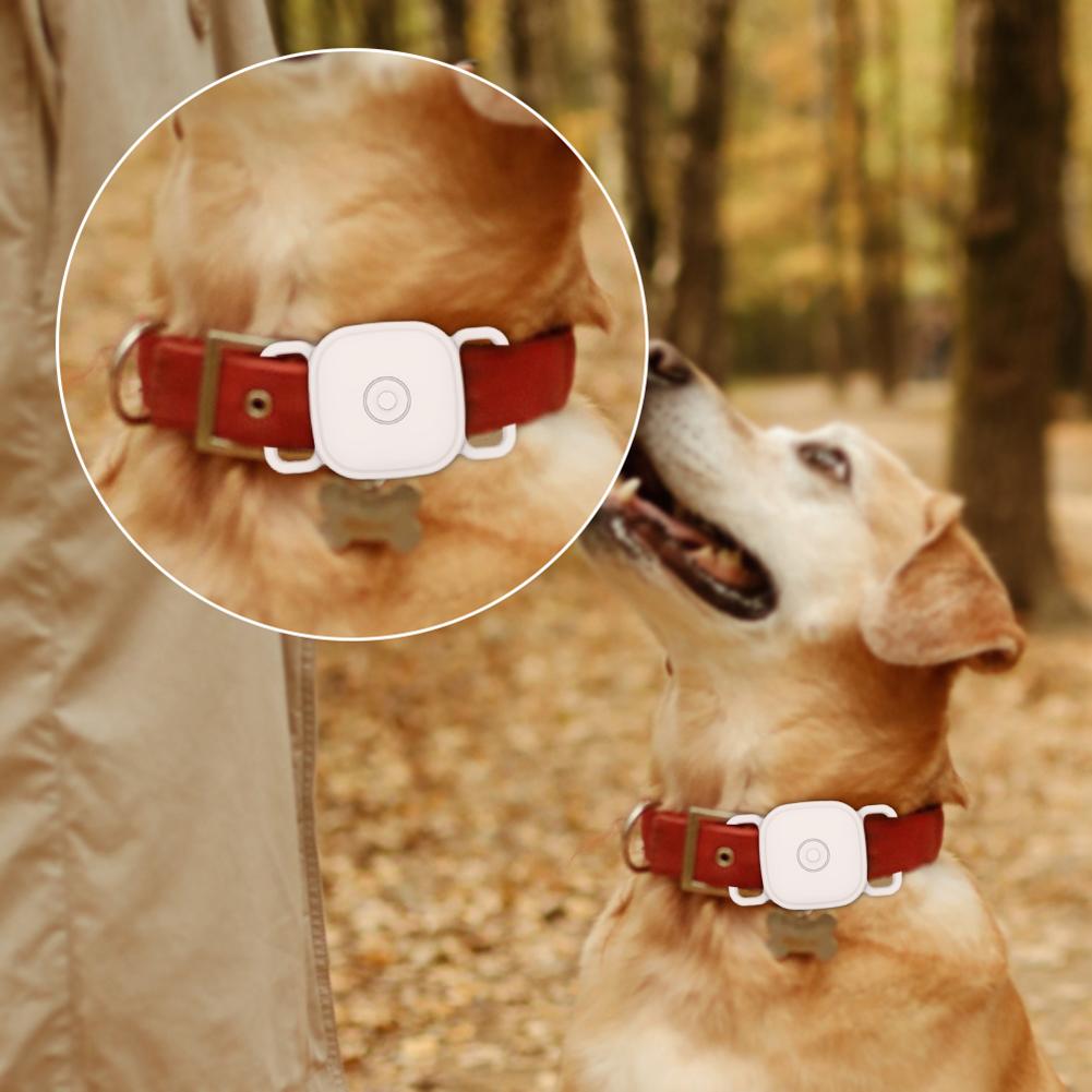 Silicone Case for Tile By Life360 Mate Anti-lost Tracker Case Dog Cat Collar GPS Finder Protective Case Dog Cat Tracker Case
