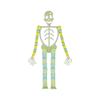 2 teile/los Halloween Skeleton Stand 19.5*5,5 Leucht kinder Neuheit Seltsame Heikles Spielzeug Track Kette Verformbaren Depressurise DIY