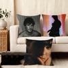 Shawn Mendes Album Cushion Cover Silky Short Plush Home Sofa Cushion Cover - Invisible Zipper Home Decoration