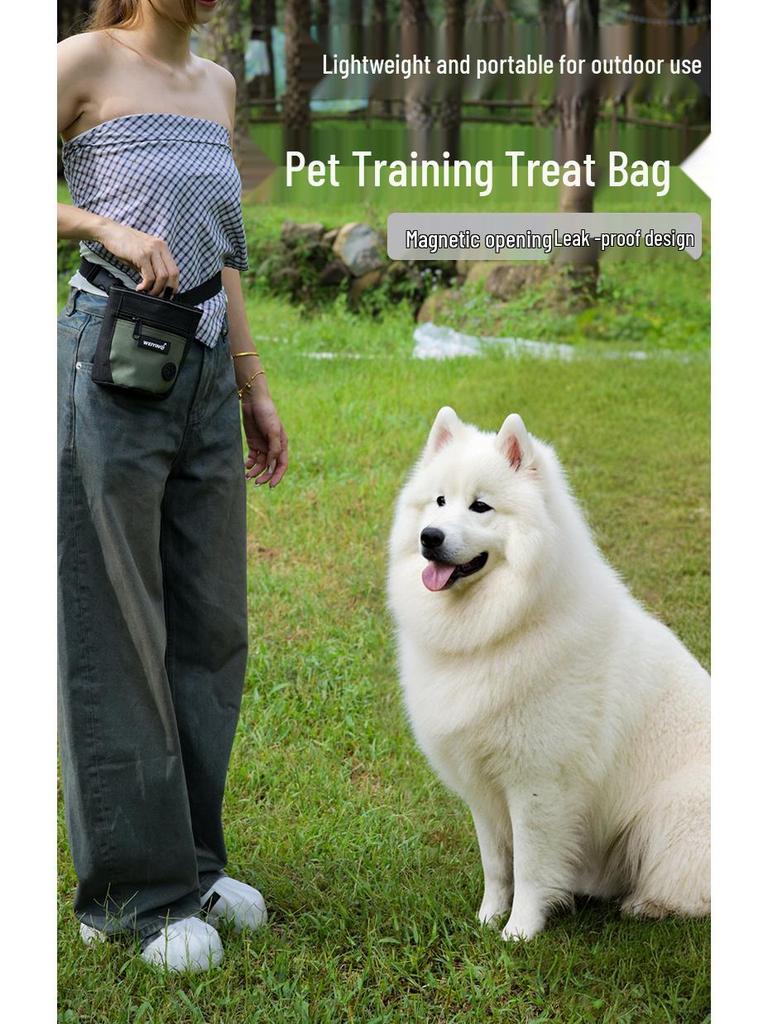 Pet Training Waist Bag - Multifunctional Dog Walking & Feeding Snack Bag